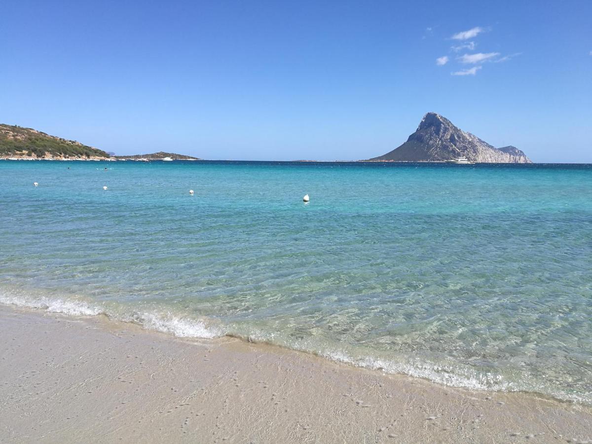 Splendida Villetta Tavolara 2 Vaccileddi Eksteriør billede